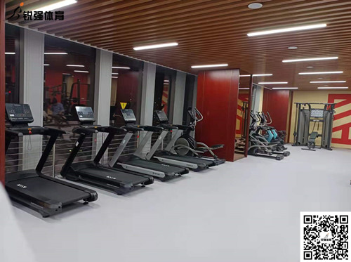 IM电竞完成的济南某部门单位健身房