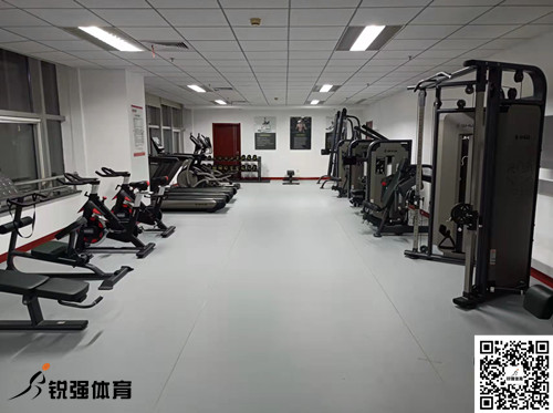 济南某集团采购的IM电竞提供的健身器材